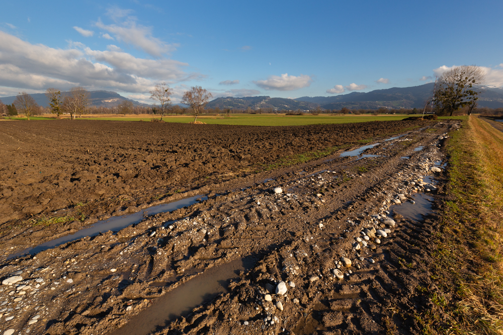 Lauteracherried im Jänner 48